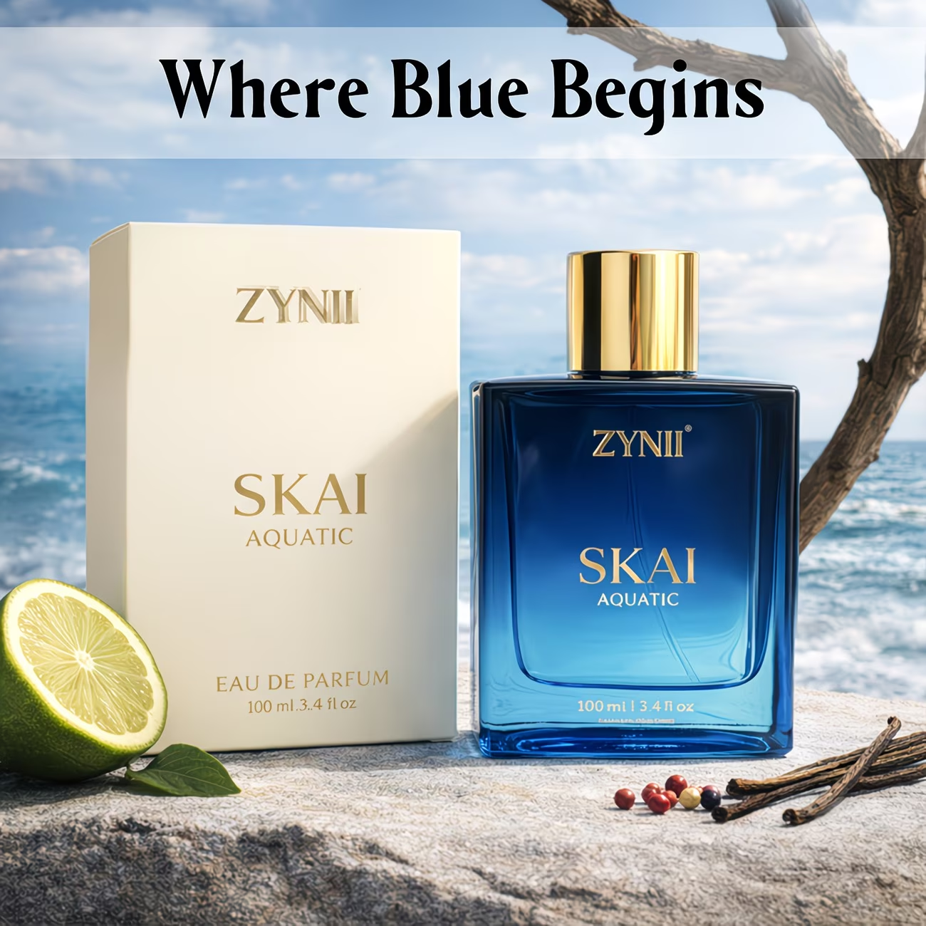 100ml Men’s Aquatic Perfume Sp - Perfume Fragrance Vanilla recensie en prijs
