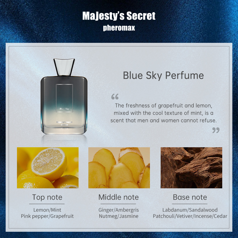 MEN'S FRAGRANCE 100ML WOODY NO - Perfume Aqua Fragrance recensie en prijs